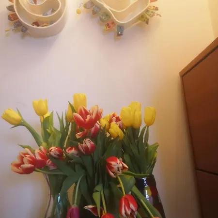 Apartament M&r Spadina