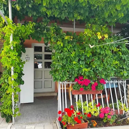 M&r Spadina Apartament Vodice