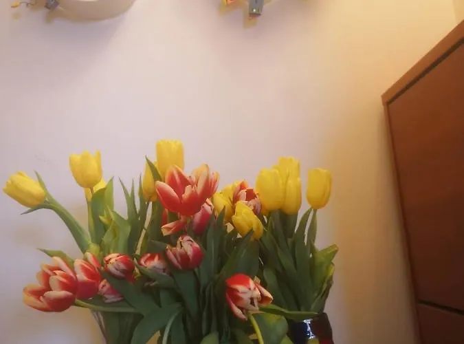 Appartement M&r Spadina